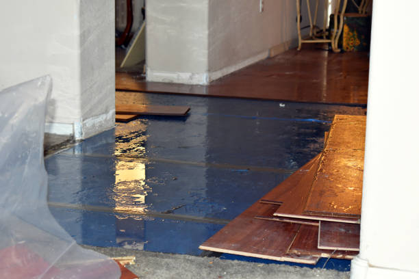Professional Burst Pipe Cleanup technician working in Huntington, NY